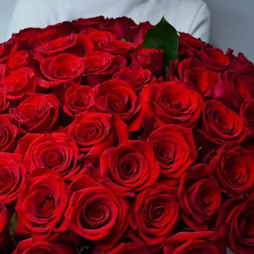 Букет из 51 красной розы 50см