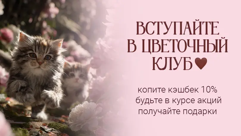моб - вступйте в цвет клуб