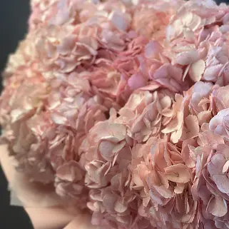 Букет из 15 розовых гортензий