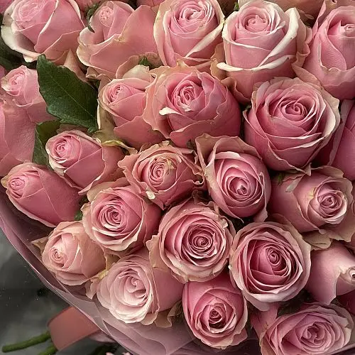Букет из 101 розовой розы 50см (Кения)
