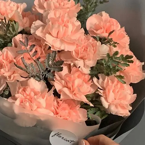 Букет из 15 розово-персиковых гвоздик с акацией