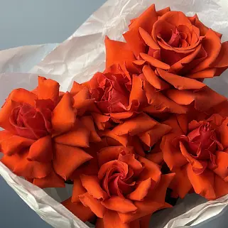 Букет из 5 французских роз Nina