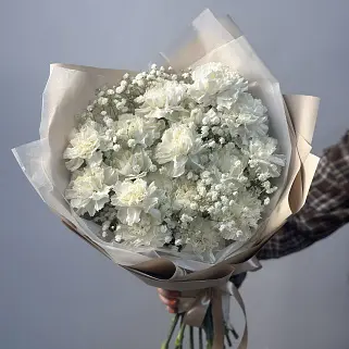 Букет из 19 белых гвоздик и гипсофилы