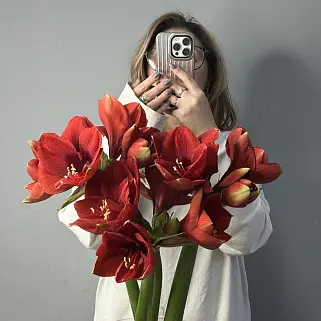 Букет из 3 амариллисов