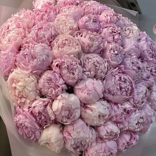 Букет из 15 розовых пионов