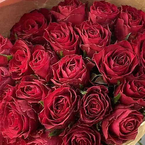 Букет из 25 красных роз 50см (Кения)