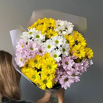 Букет из 9 кустовых хризантем (микс)