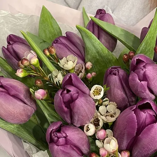 Букет из 15 фиолетовых тюльпанов и ваксфлауэра