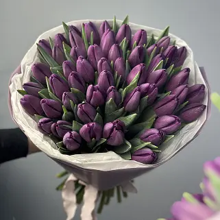 Букет из 51 фиолетового тюльпана