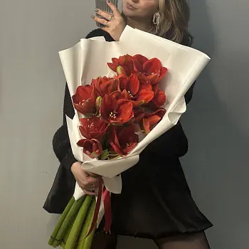 Букет из 5 амариллисов