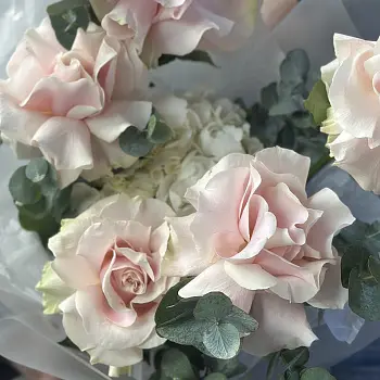 Дуо-букет французских роз Mondial и гортензий S