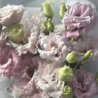 Букет из 5 розовых эустом