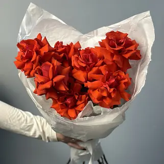 Букет из 7 французских роз Nina