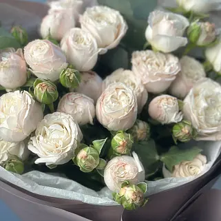 Букет из 5 кустовых пионовидных роз Bombastic и эвкалипта