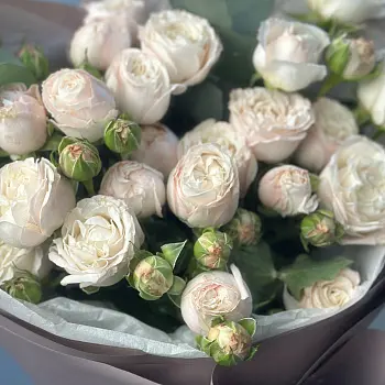 Букет из 5 кустовых пионовидных роз Bombastic и эвкалипта