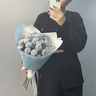 Букет из 5 кустовых хризантем Dusty Mermaid