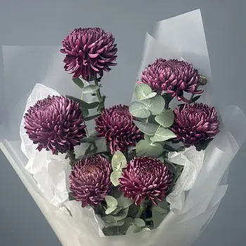 Букет из 7 хризантем Bigoudi