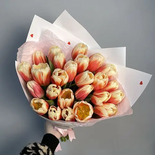 Букет из 25 бело-красных тюльпанов