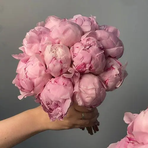 Свадебный букет невесты из 15 розовых пионов