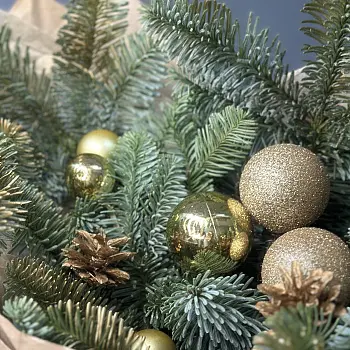 Зимний букет Golden S