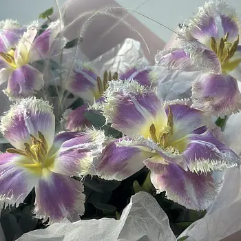 Букет тюльпанов Exotic Pink S