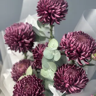 Букет из 7 хризантем Bigoudi