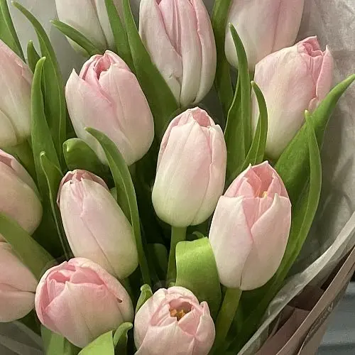 Букет из 11 розовых тюльпанов