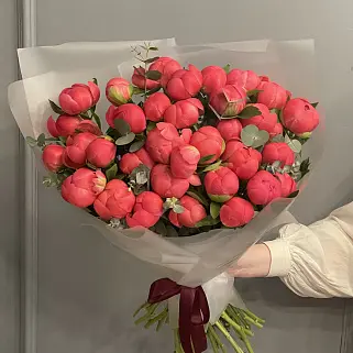 Букет из 35 пионов Coral Sunset и эвкалипта