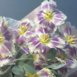 Букет тюльпанов Exotic Pink M