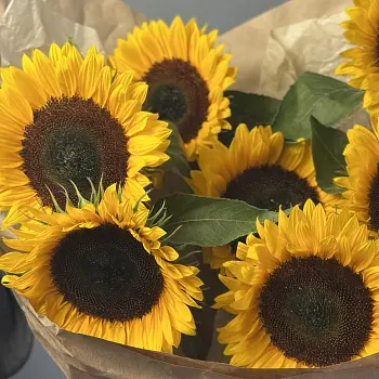 Солнечный букет из 7 подсолнухов