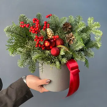 Зимняя композиция Santa Claus S