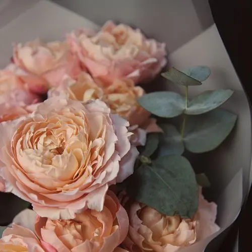 Букет из 51 кустовой пионовидной розы Juliet