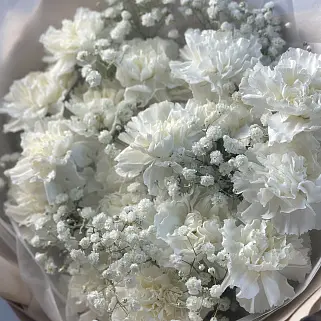 Букет из 19 белых гвоздик и гипсофилы