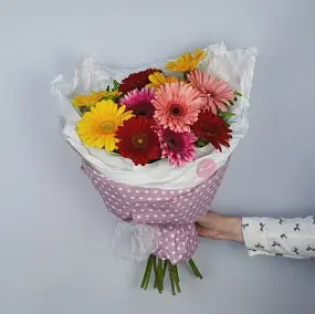 Букет из 11 гербер микс