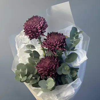 Букет из 3 хризантем Bigoudi