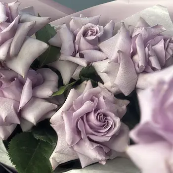 Букет из 5 французских роз Ocean Song