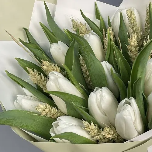 Букет из 15 белых тюльпанов с колосками