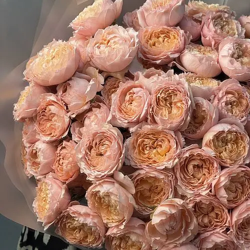 Букет пионовидных роз Juliet и гипсофилы
