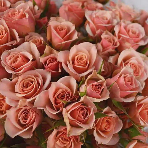 Букет из 25 кустовых роз Ilse
