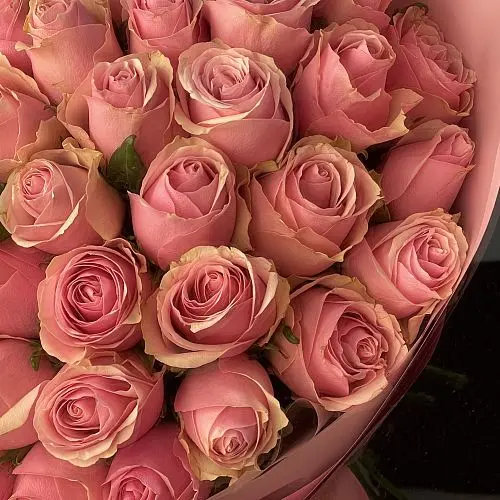 Букет из 25 розовых роз 50см (Кения)