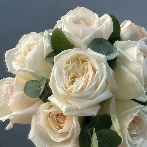 Свадебный букет невесты из 11 роз White O'Hara и эвкалипта