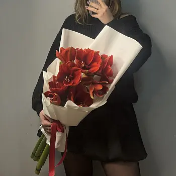 Букет из 3 амариллисов