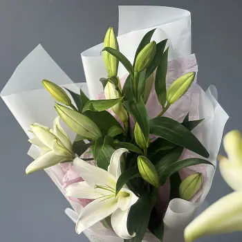 Букет из 3 белых лилий
