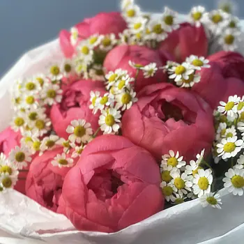 Букет из 11 пионов Coral Sunset и матрикарии