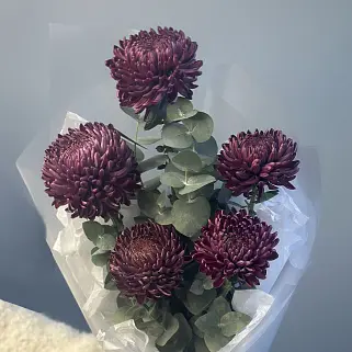 Букет из 5 хризантем Bigoudi