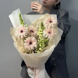 Дуо-букет сортовых гербер и антирринума S