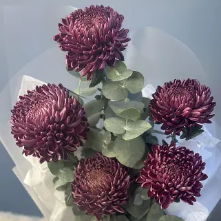 Букет из 5 хризантем Bigoudi