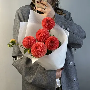 Букет из 5 алых георгинов