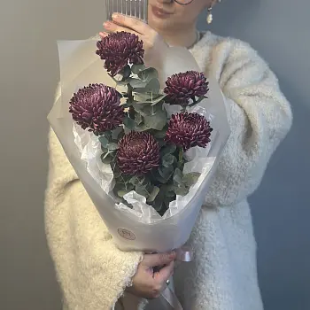 Букет из 5 хризантем Bigoudi