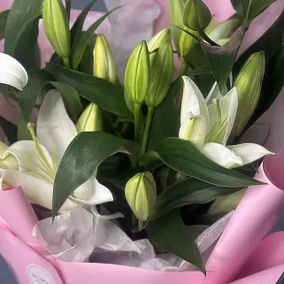 Букет из 5 белых лилий